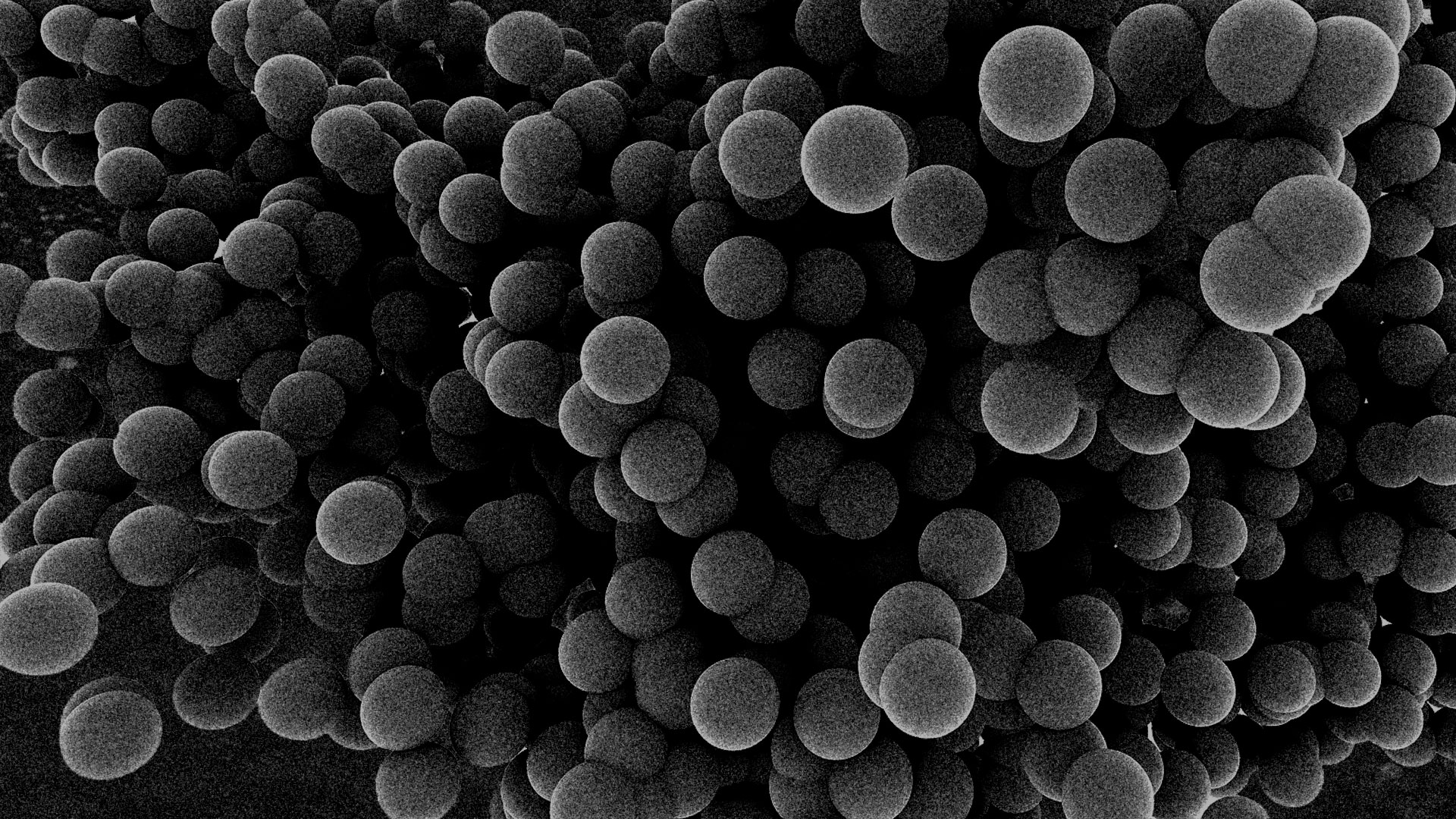 sintering and consolidation of powders